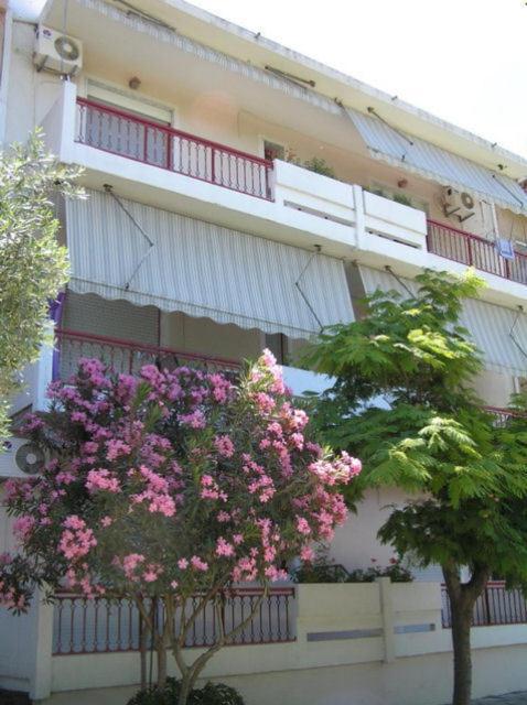 يميناريا Villa Sofia المظهر الخارجي الصورة